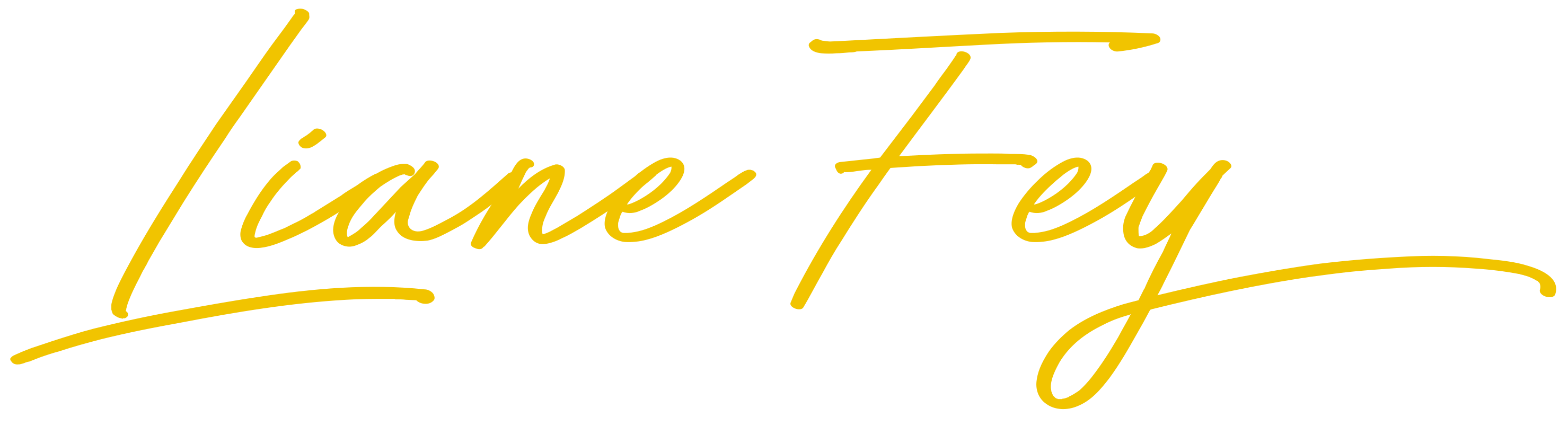 Liane Fey - Webdesign und Marketingstrategien