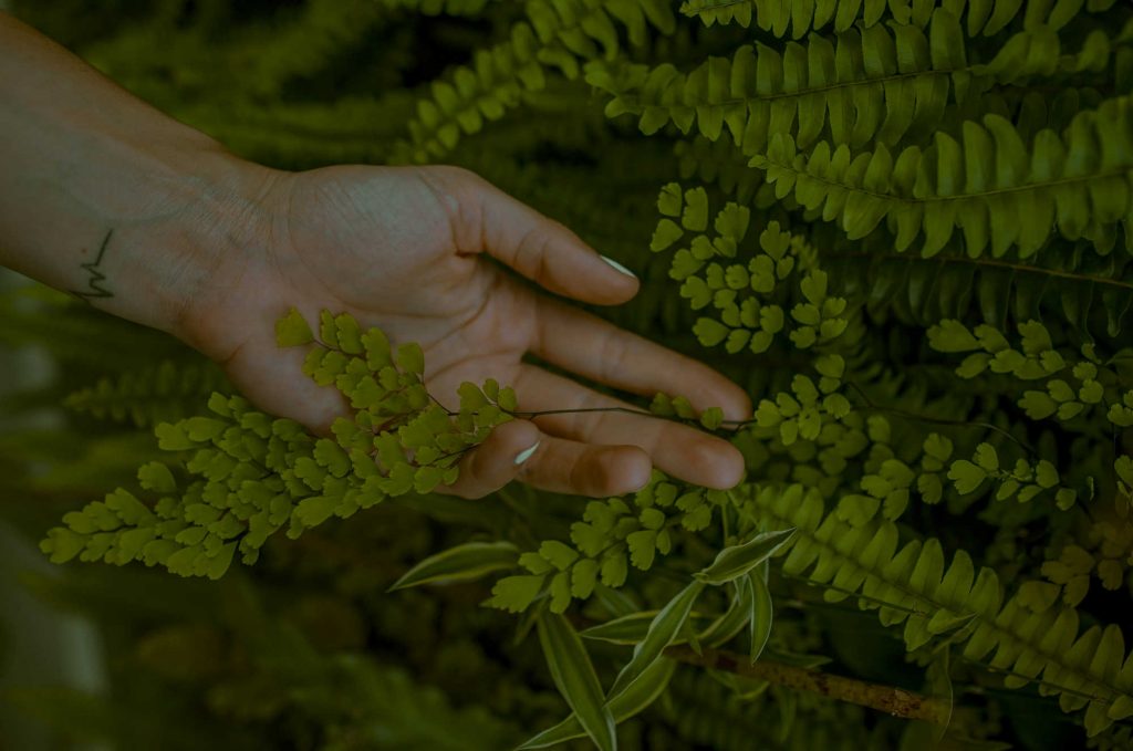 Datenschutz - Schutz deiner Daten
