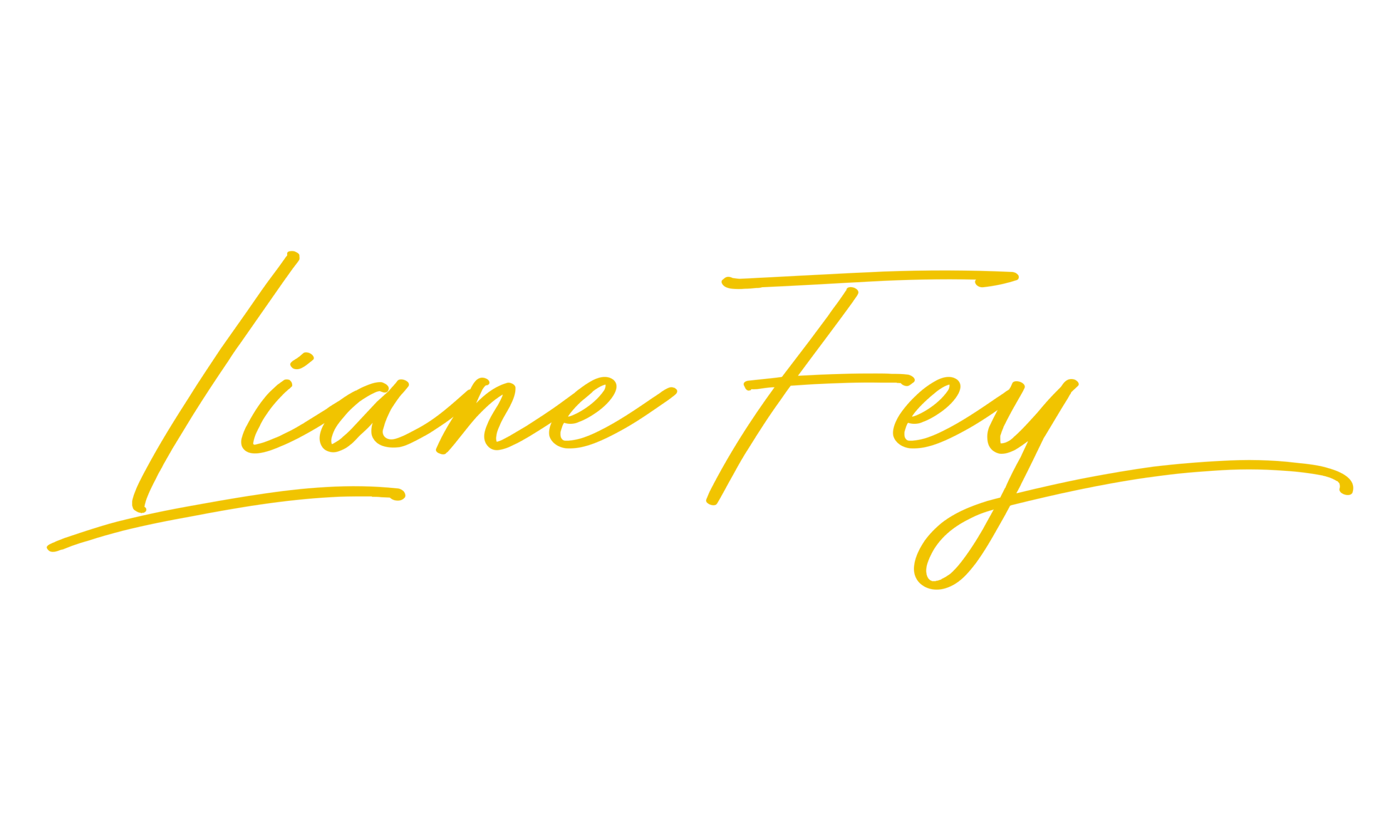Liane Fey Webdesign
